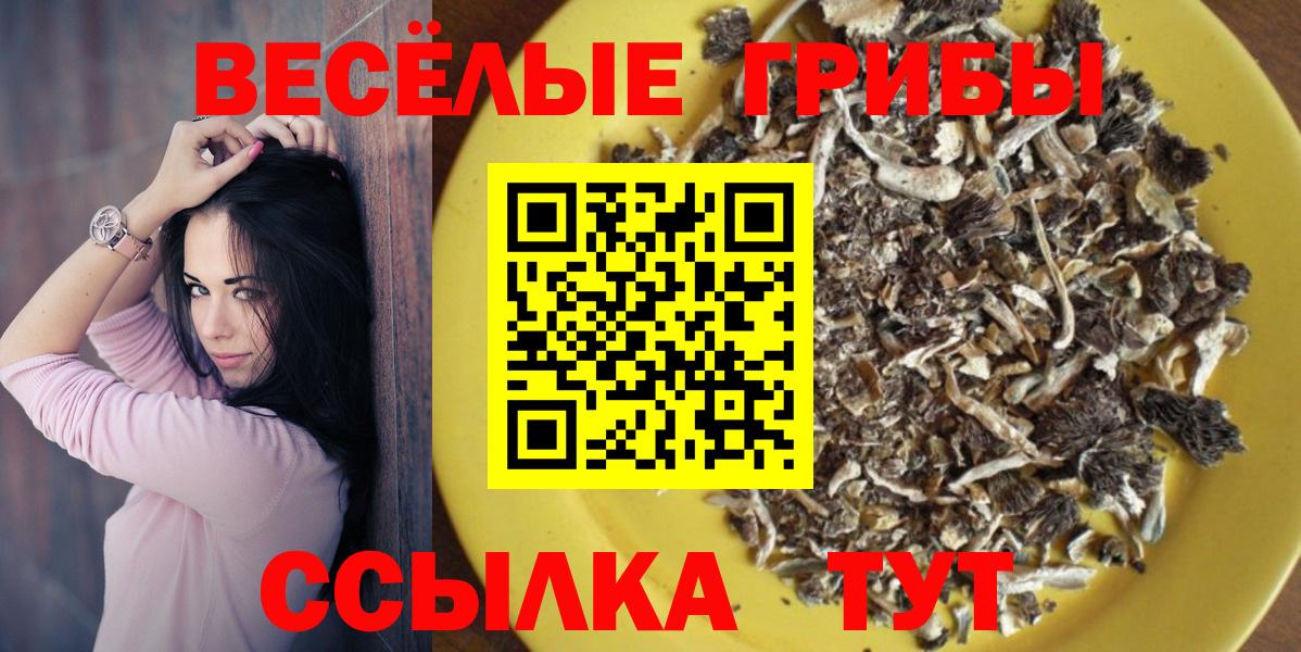 Галлюциногенные грибы MAGIC MUSHROOMS Владивосток